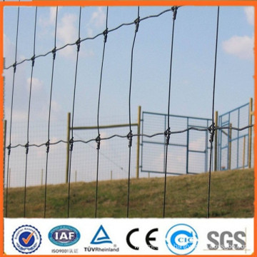 Anping professional manufacturer supplies ISO9001:2008,SGS,BV certified galvanized field fence , cattle fence